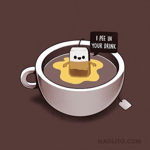 Meet your Posher, Lasette